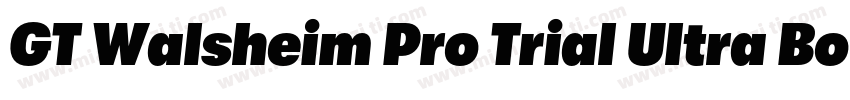 GT Walsheim Pro Trial Ultra Bold Re字体转换